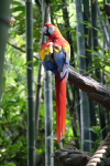 /photos/2007-WDW-AnimalKingdom/thumbs/IMG_1980.JPG