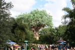 /photos/2007-WDW-AnimalKingdom/thumbs/IMG_1983.JPG