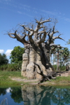 /photos/2007-WDW-AnimalKingdom/thumbs/IMG_2119.JPG