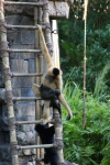 /photos/2007-WDW-AnimalKingdom/thumbs/IMG_2316.JPG