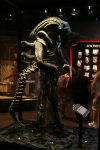 /photos/2007-WDW-DisneyMGMStudios/thumbs/IMG_1867.JPG