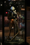 /photos/2007-WDW-DisneyMGMStudios/thumbs/IMG_1877.JPG