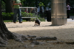 /photos/20070515NYC/thumbs/IMG_0336.JPG
