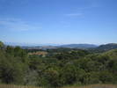 /photos/20080427MtTamTraining/thumbs/IMG_0671.JPG