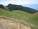 /photos/20080427MtTamTraining/thumbs/IMG_0701.JPG