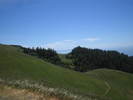 /photos/20080427MtTamTraining/thumbs/IMG_0702.JPG