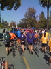 /photos/2008ALC7/thumbs/2008ALC7_-085.JPG
