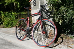 /photos/2008MadoneMavic/thumbs/IMG_3613.JPG