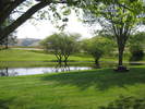 /photos/2008jonathanpon/thumbs/IMG_0768.JPG