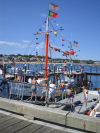 /photos/CapeCod2004/thumbs/IMG_0011.JPG