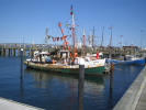 /photos/CapeCod2004/thumbs/IMG_0021.JPG