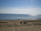 /photos/CapeCod2004/thumbs/IMG_0043.JPG