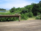 /photos/CapeCod2004/thumbs/IMG_0051.JPG