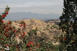 /photos/GriffithObservatory/thumbs/IMG_2803.JPG