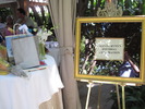 /photos/Mom70th/thumbs/IMG_2748.JPG