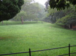 /photos/NYC200606/thumbs/IMG_0275.JPG