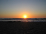 /photos/Pacifica200607/thumbs/IMG_0309.JPG