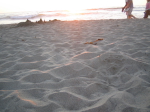 /photos/Pacifica200607/thumbs/IMG_0312.JPG