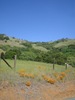 /photos/alc7/thumbs/IMG_0580.JPG
