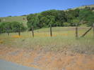 /photos/alc7/thumbs/IMG_0581.JPG