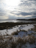 /photos/capecod2004Xmas/thumbs/IMG_0393.JPG