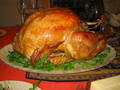 /photos/irvine20051124/thumbs/IMG_0057.JPG