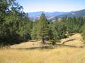 /photos/mendocino20050924/thumbs/IMG_0037.JPG