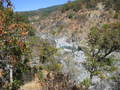 /photos/mendocino20050924/thumbs/IMG_0044.JPG