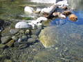 /photos/mendocino20050924/thumbs/IMG_0058.JPG