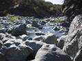 /photos/mendocino20050924/thumbs/IMG_0064.JPG