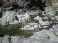 /photos/mendocino20050924/thumbs/IMG_0066.JPG