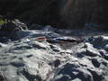 /photos/mendocino20050924/thumbs/IMG_0069.JPG