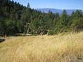 /photos/mendocino20050925/thumbs/IMG_0079.JPG