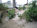 /photos/monterey-aquarium/thumbs/IMG_0505.JPG