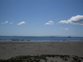 /photos/santabarbara20050409/thumbs/IMG_0027.JPG