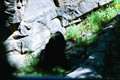 /photos/sfzoo/thumbs/PR7881075954.jpg