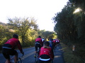/photos/thfca2005/thumbs/thf_0035_tj.jpg