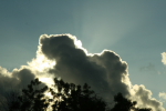 /photos/tokeywest/thumbs/IMG_2425.JPG