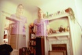 /photos/tracey/thumbs/ROLL1IMAGE014.JPG